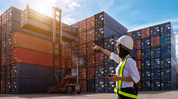 Piña MD2 para Arabia Saudita